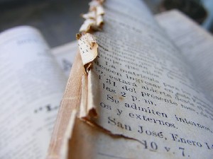 biblioteca 242 copy.jpg